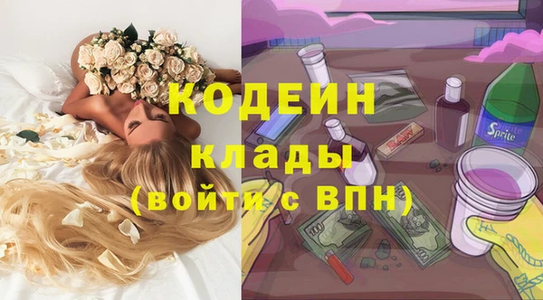 прущие грибы Мегион