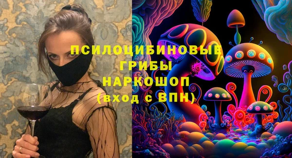 дживик Медвежьегорск