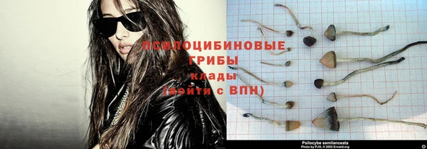 первитин Алексин
